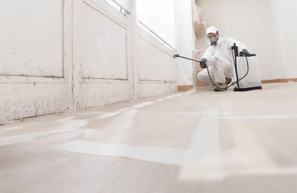24/7 Emergency Mold Testing experts in Crystal Beach, FL